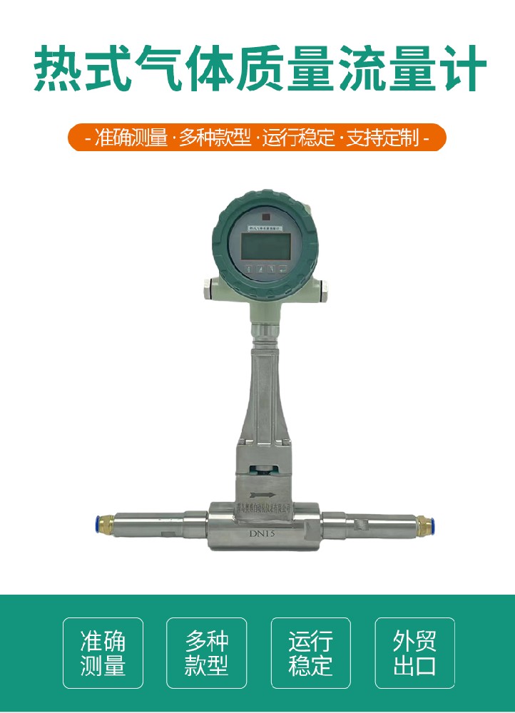 熱式氣體質(zhì)量流量計